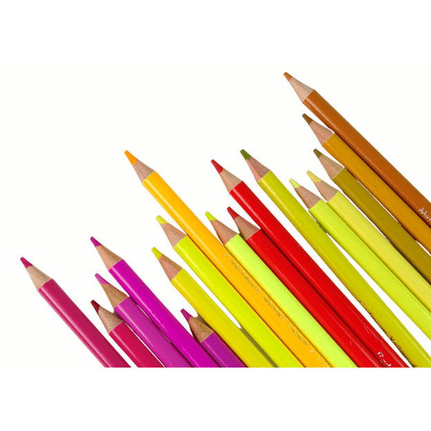 Little Artist Set 300 pcs. Crayons In Organizer 1