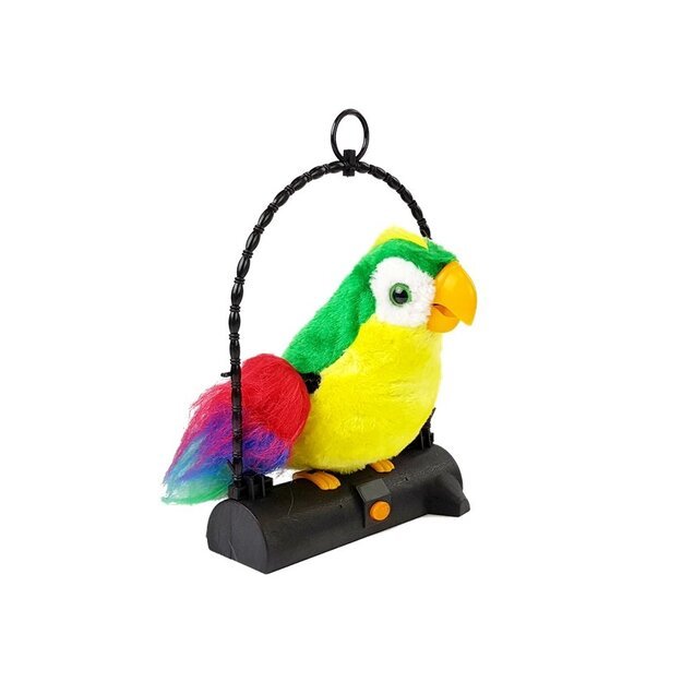 The Bird Parrot Repeats The Words Green