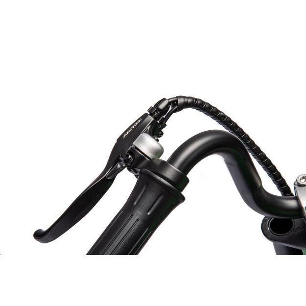 Akumuliatorinis variklis A9902 36V žalias 28