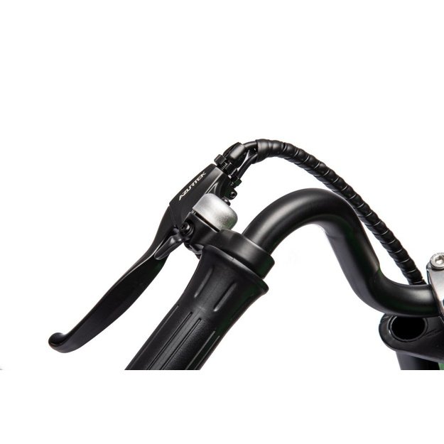 Akumuliatorinis variklis A9902 36V žalias 15