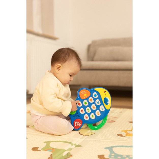 MULTIFUNCTIONAL MAT CARS 12