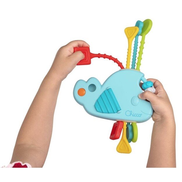 179237 SENSORY WHALE