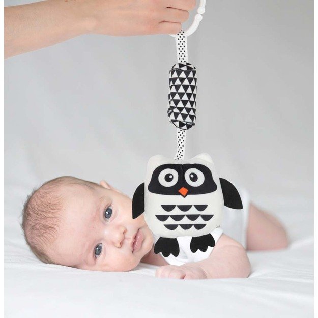 Sensorinis barškučio pakabukas su kontrastinga pelėda 18