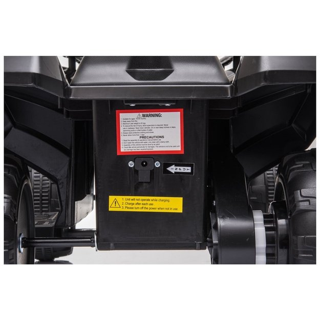 Electric Quad JS320 Black 12