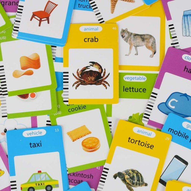 Anglų kalbos žodyno mokymosi kortelių skaitymo kortelė flipchart blue 8