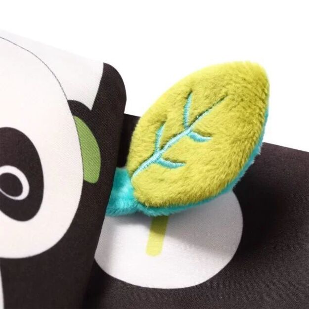 779 DREAM TEAM – C MORE pirmoji knyga 4