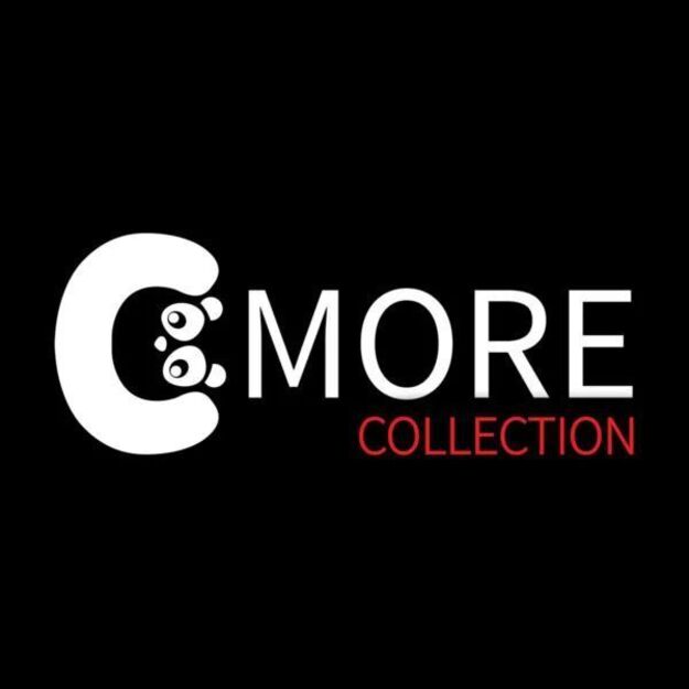 779 DREAM TEAM – C MORE pirmoji knyga 8