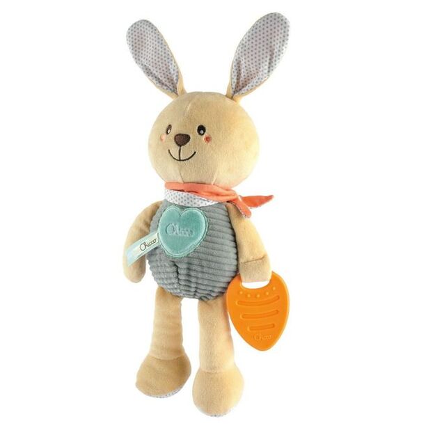 162734 BUNNY WITH A TEETHER 2