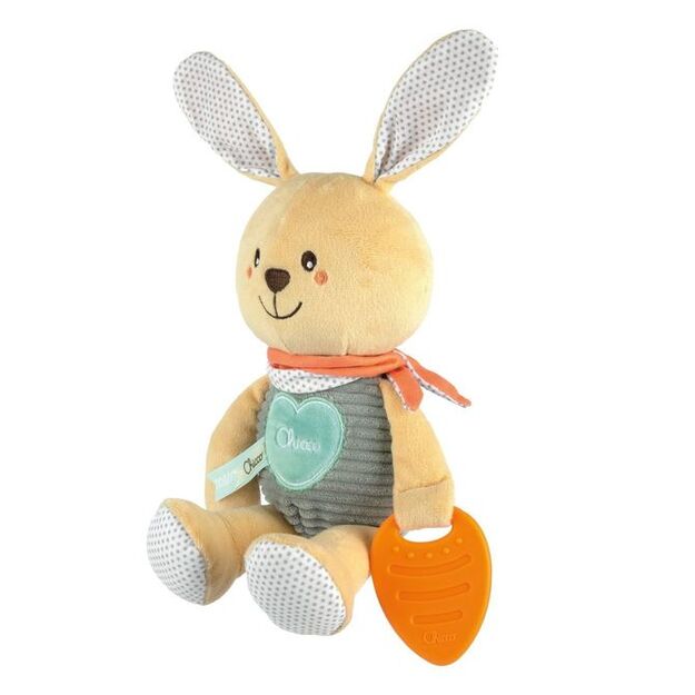 162734 BUNNY WITH A TEETHER 3