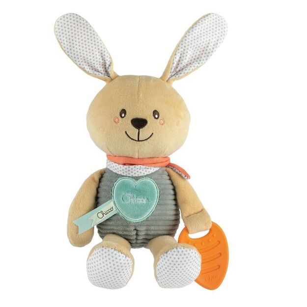 162734 BUNNY WITH A TEETHER 1