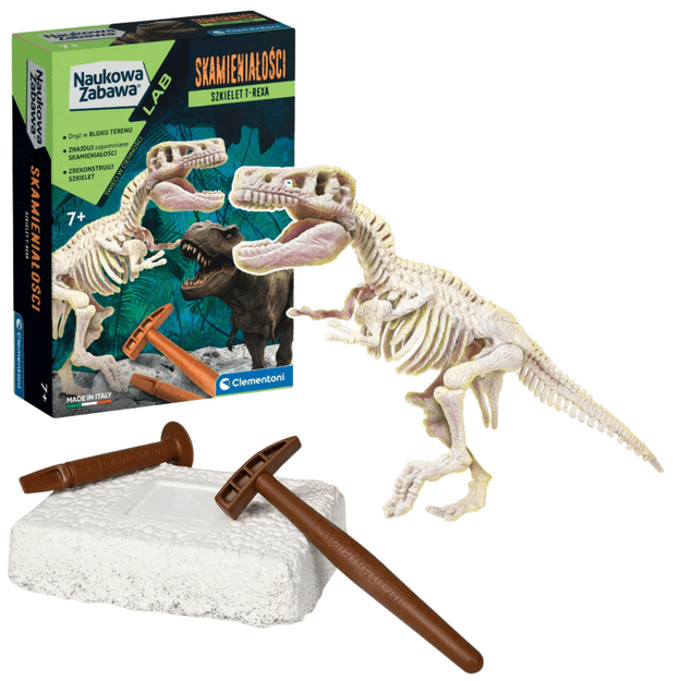 Scientific Fun Fossils T-Rex Skeleton Polish Language Clementoni 50858