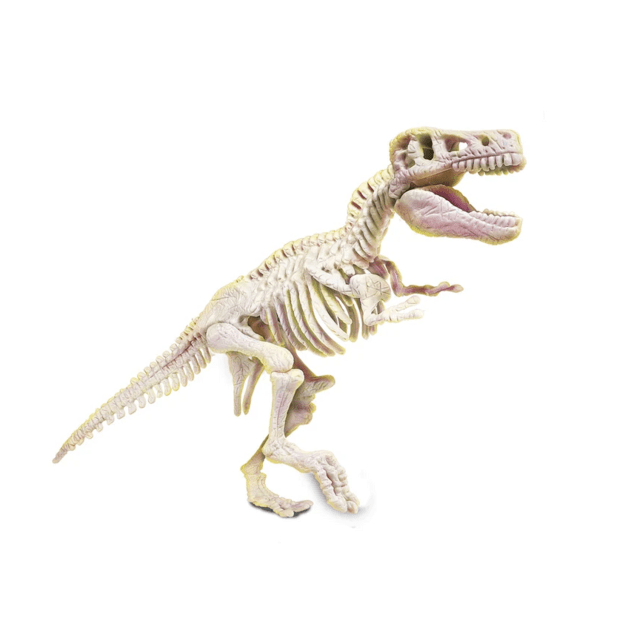 Scientific Fun Fossils T-Rex Skeleton Polish Language Clementoni 50858 1