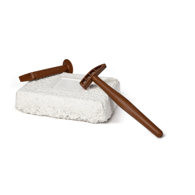 Scientific Fun Fossils T-Rex Skeleton Polish Language Clementoni 50858 2