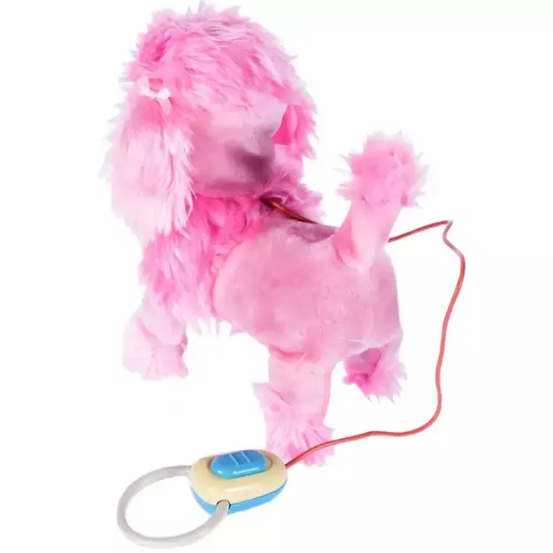 Toy poodle puppy with a leash, pink