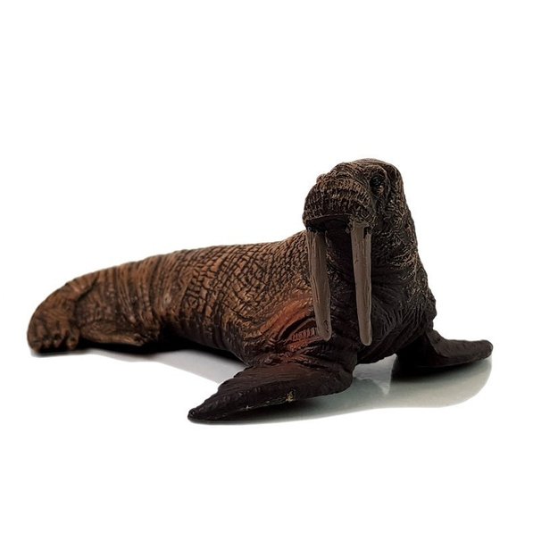 Figurki Edukacyjne Morskie Zwierzęta 8 Elementów Rekiny Foka Delfin Mors Żółw 4