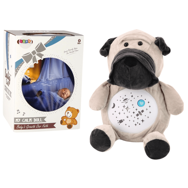 Teddy Bear Sleeping Lights Sounds Night and Day Mode Dog