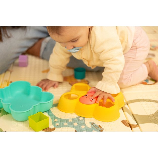 EDUCATIONAL TOY - BUTTERFLY