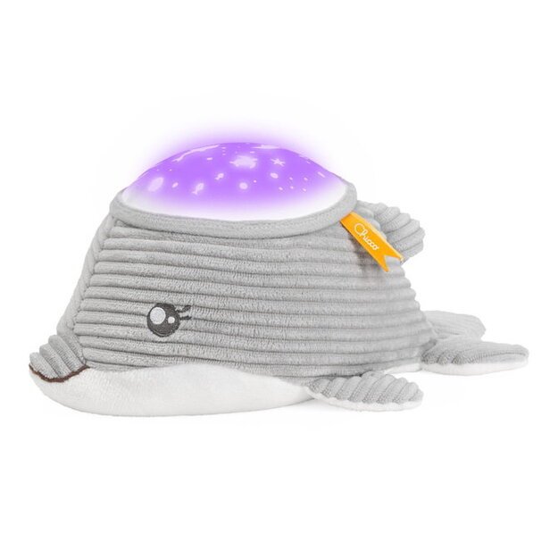 184415 DOLPHIN WITH PROJECTOR