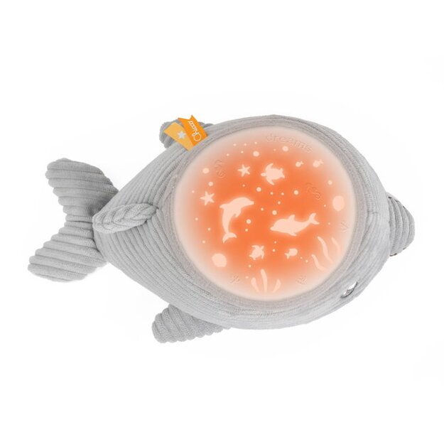184415 DOLPHIN WITH PROJECTOR