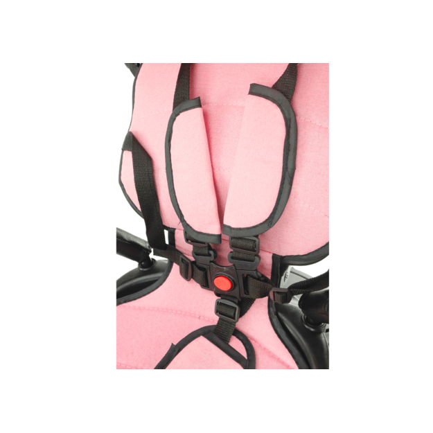 PRO550 Pink Tricycle 7