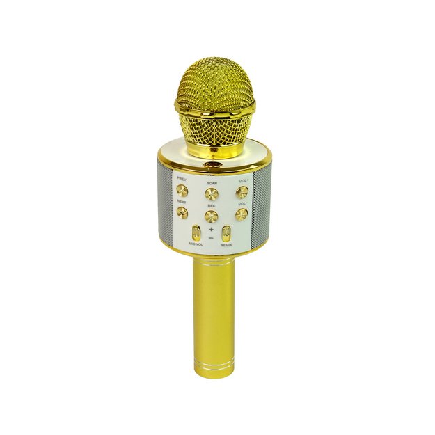 Wireless Microphone USB Speaker Karaoke Recording Model WS-858 Gold 3