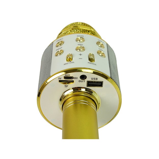 Wireless Microphone USB Speaker Karaoke Recording Model WS-858 Gold 2
