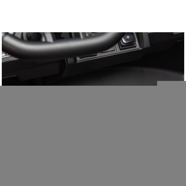 Keturratis Buggy UTV-MX Blue Spider 15