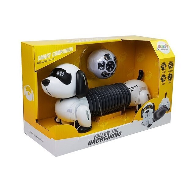 Interactive Robot Dog Remote Controlled Music Sound Remote Control Ball