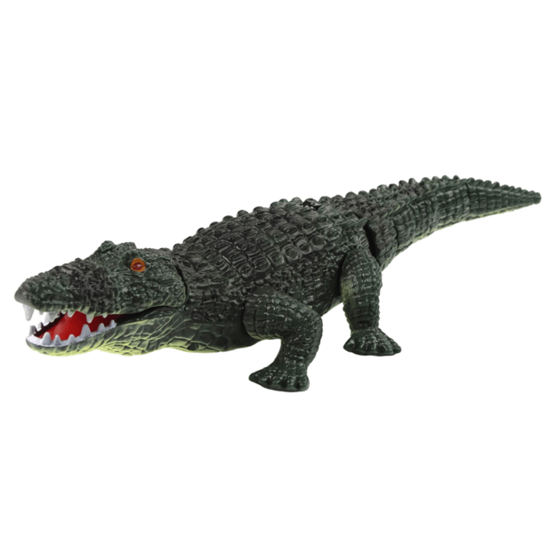 Nuotoliniu būdu valdomas krokodilo žibintuvėlis 1