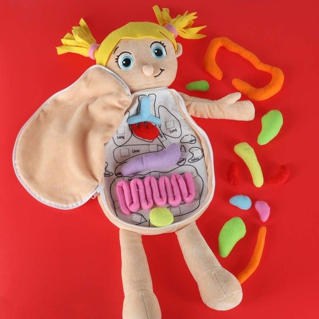 Anatomijos besimokanti mergaitė lėlė talismanas 7