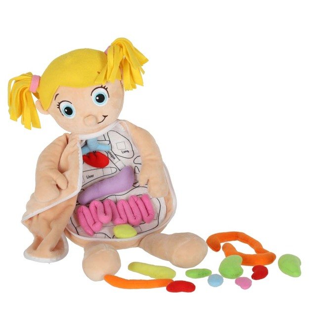 Anatomijos besimokanti mergaitė lėlė talismanas 6