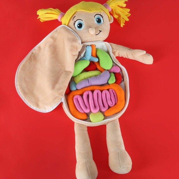 Anatomijos besimokanti mergaitė lėlė talismanas 8