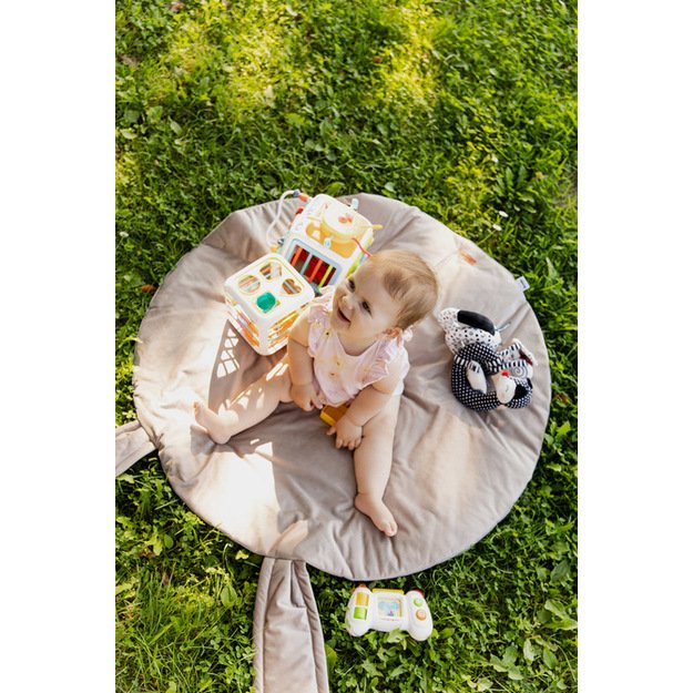 EDUCATIONAL TOY - SORTER DICE 8