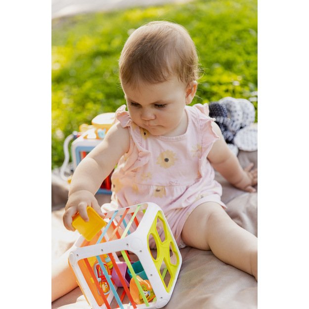 EDUCATIONAL TOY - SORTER DICE 9