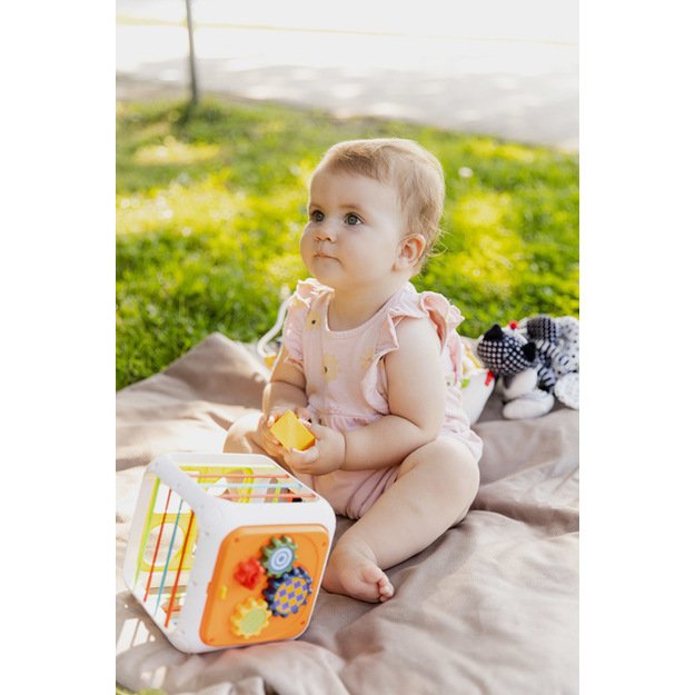 EDUCATIONAL TOY - SORTER DICE 12