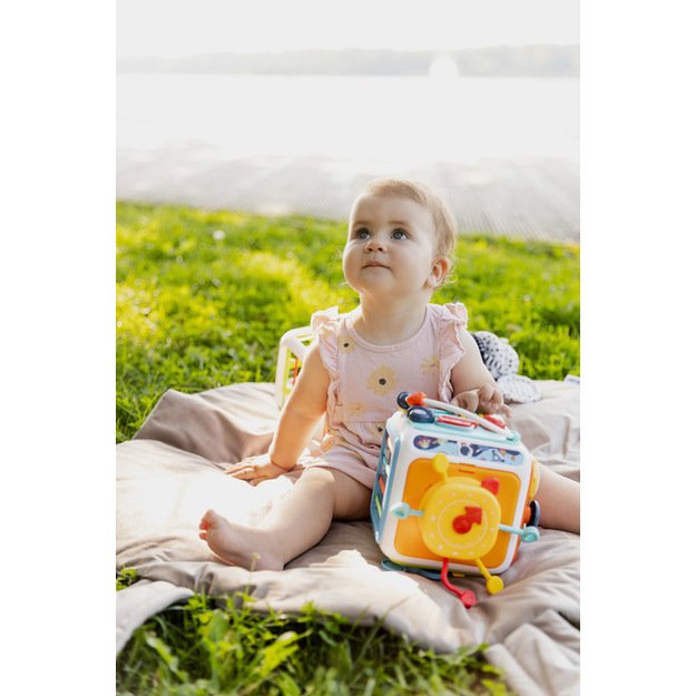 EDUCATIONAL TOY - SORTER DICE 13