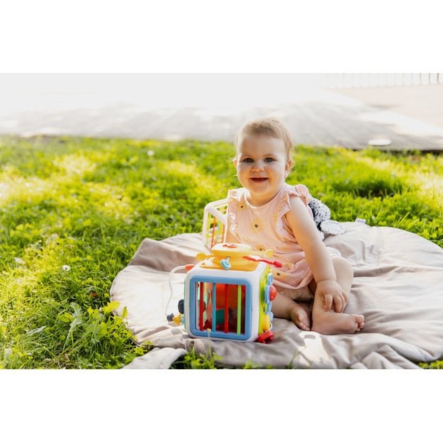 EDUCATIONAL TOY - SORTER DICE 10