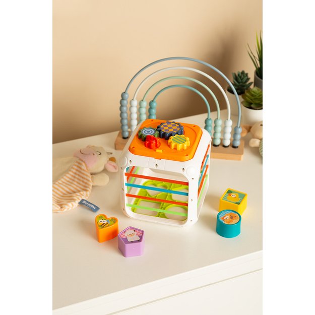 EDUCATIONAL TOY - SORTER DICE 5