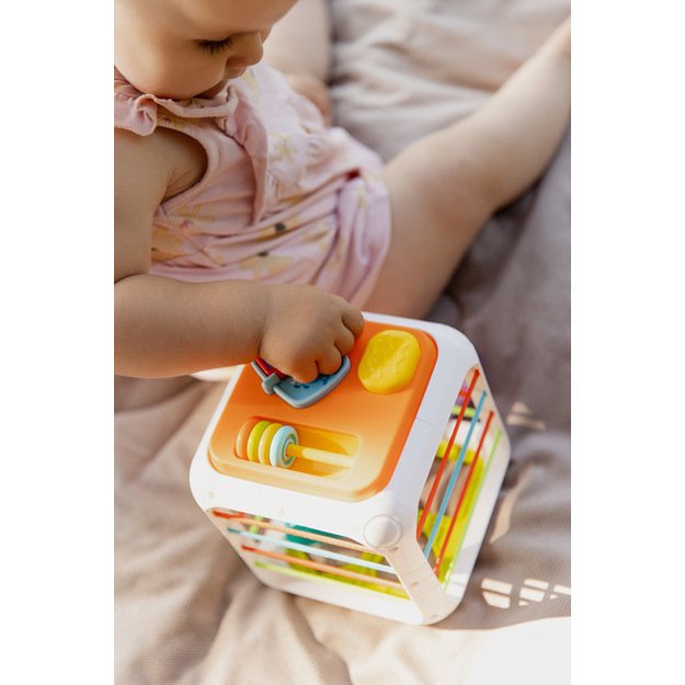 EDUCATIONAL TOY - SORTER DICE 11