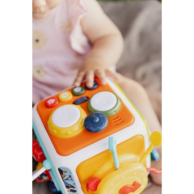 EDUCATIONAL TOY - SORTER DICE 17