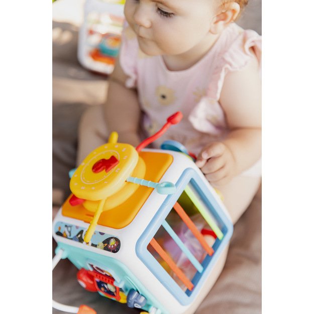 EDUCATIONAL TOY - SORTER DICE 16