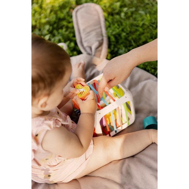 EDUCATIONAL TOY - SORTER DICE 7