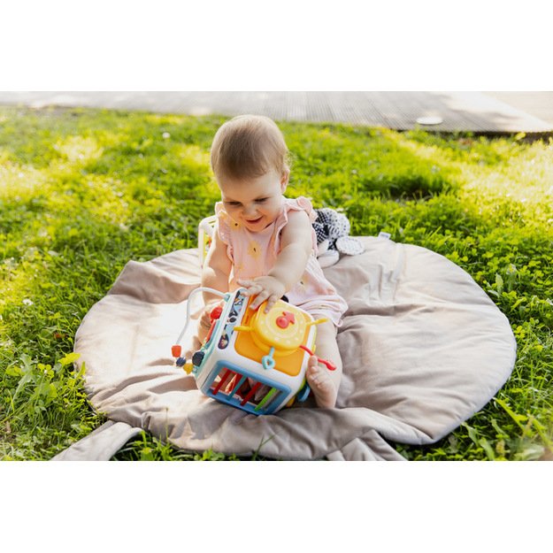 EDUCATIONAL TOY - SORTER DICE 18