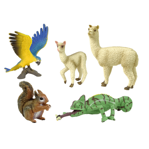 Figūrėlių gyvūnai rinkinys Papūga Panda 5