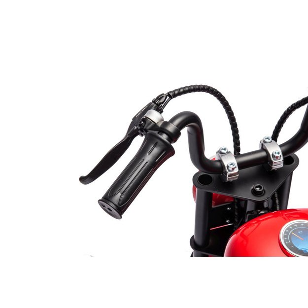 Akumuliatorinis variklis A9902 36V raudonas 10