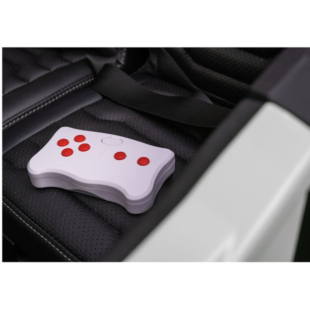 Arctic Cat WILDCAT XX 24V14AH White Battery Buggy Vehicle 8