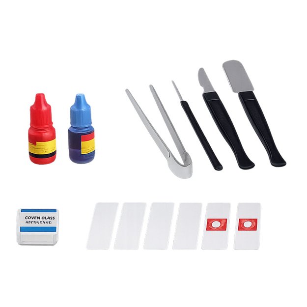 Educational Microscope For Kids Accessories Magnification 300x 2