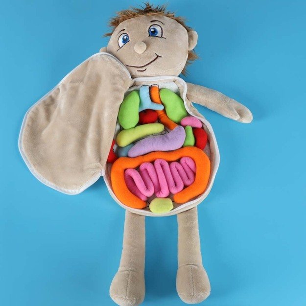 Anatomijos besimokantis berniukas su talismanu 9