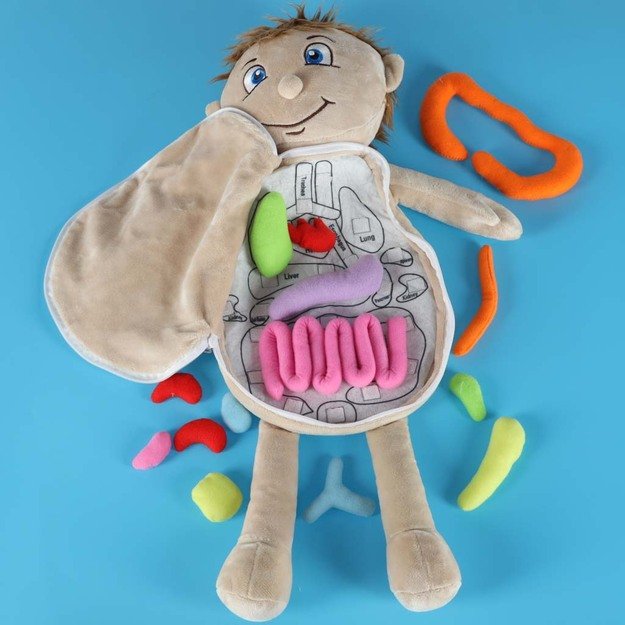 Anatomijos besimokantis berniukas su talismanu 8