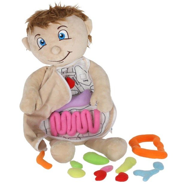 Anatomijos besimokantis berniukas su talismanu 7